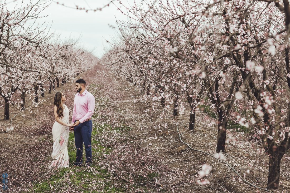 Romantic Blossoms Engagement Photoshoot with Harmon and Betha Thiara