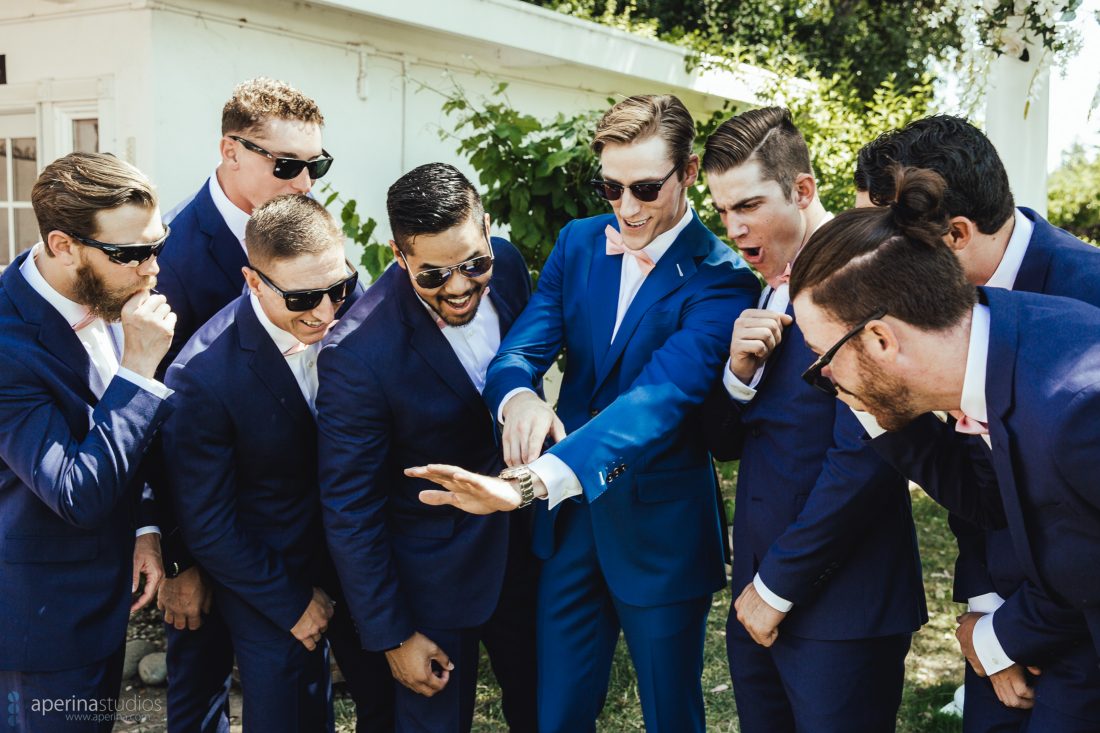 Grace Vineyards Winery Wedding Photographer - groomsmen and groom in navy blue tuxedo