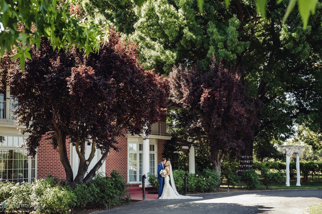 Grace Vineyards Winery Wedding Photographer - bride and groom first look