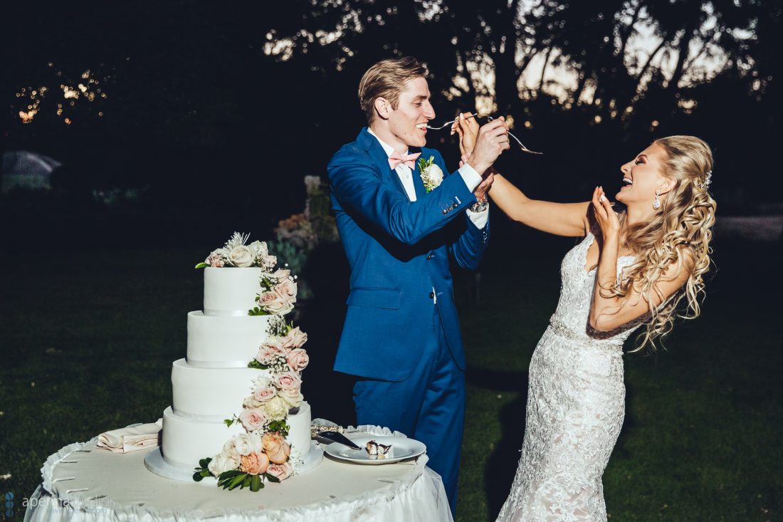 Reception cake cutting photo