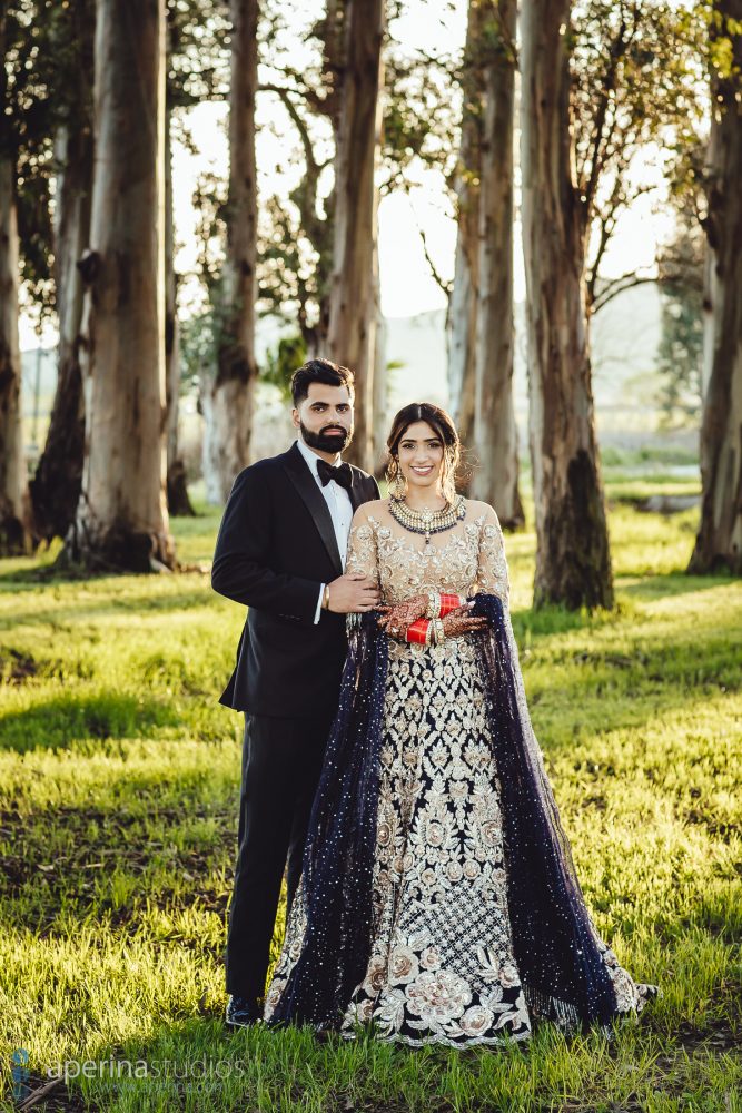Glamorous Indian Wedding Reception Portraits by Aperina Studios