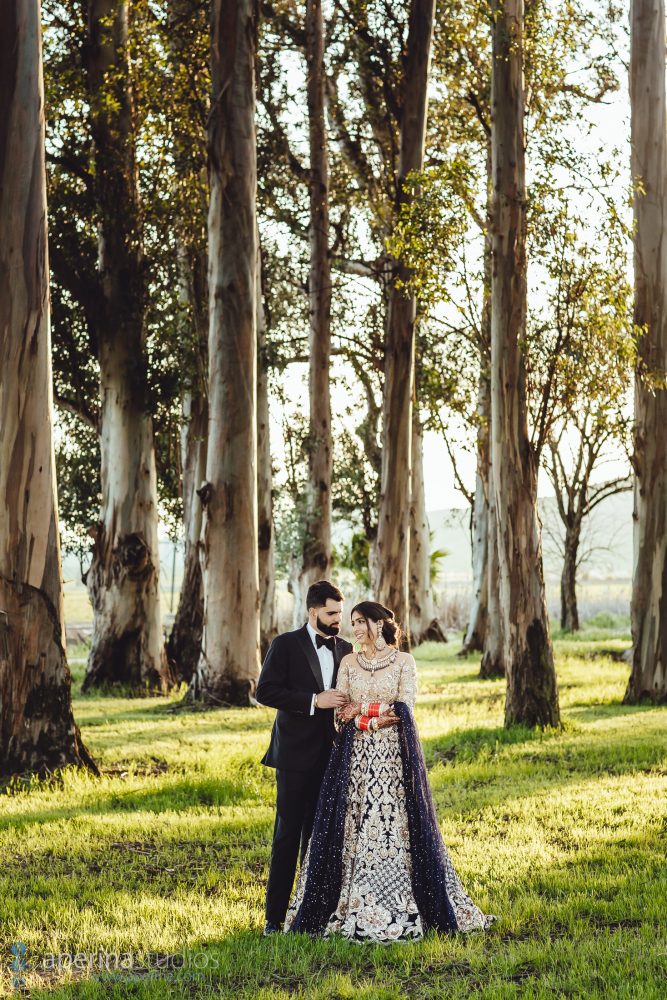 Glamorous Indian Wedding Reception Portraits by Aperina Studios