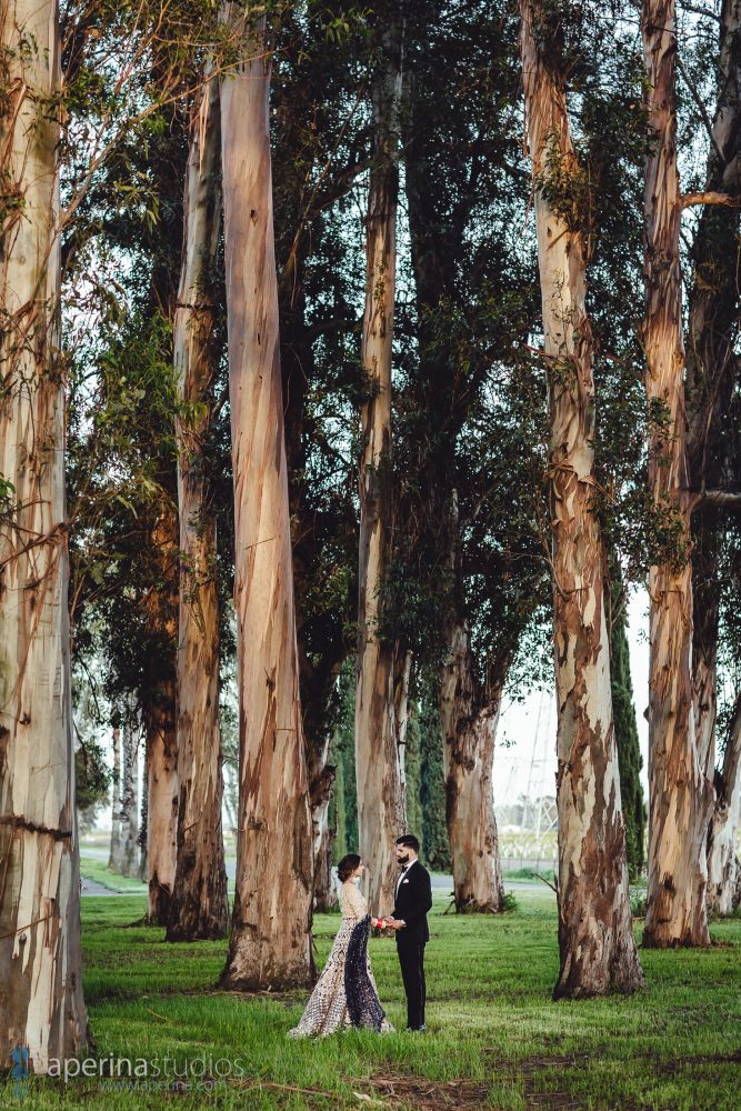 Glamorous Indian Wedding Reception Portraits by Aperina Studios