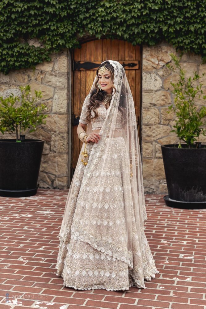 Indian Hindu Wedding at Mountain Winery - Indian Wedding Photography