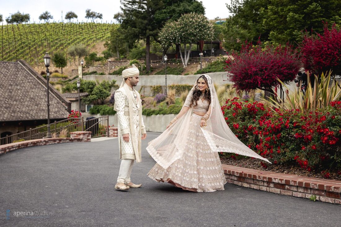 Indian Hindu Wedding at Mountain Winery - Indian Wedding Photography